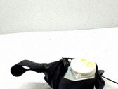 Sicherheitsgurt hinten