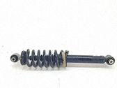 Stoßdämpfer hinten