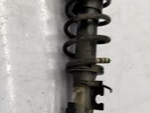 Stoßdämpfer hinten