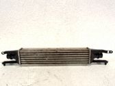 Radiador intercooler