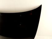 Engine bonnet/hood