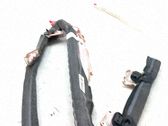 Airbag del techo