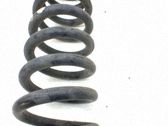 Muelle espiral delantero