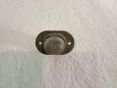 Lámpara/piloto de matrícula