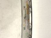 Trim molding