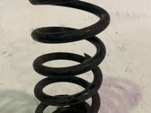 Muelle espiral delantero