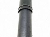Stoßdämpfer hinten