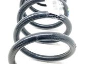 Muelle espiral delantero