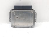 Engine control unit/module ECU