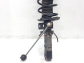 Front shock absorber/damper