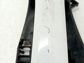Manecilla externa puerta delantera
