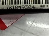 Varilla de medición del nivel de aceite