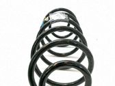 Muelle espiral delantero
