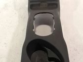 Dashboard trim