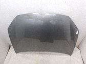 Motorhaube