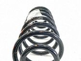Front coil spring
