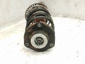 Amortisseur avant