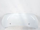 Capó/tapa del motor