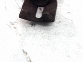 Takajarrusatula