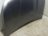 Motorhaube