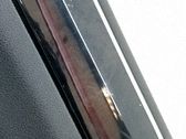 Moldura del tarjetero de la puerta trasera