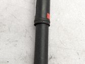 Stoßdämpfer hinten