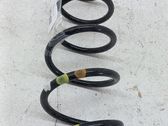 Muelle espiral delantero
