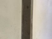 Radiador intercooler