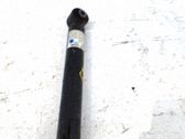 Stoßdämpfer hinten