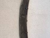 Moldura del limpia