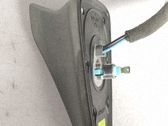 Radion antenni