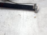 Regulador de ventanilla eléctrico de puerta delantera