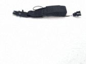 Hebilla del cinturón de seguridad trasero