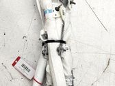 Airbag del techo