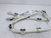 Airbag del techo