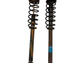 Rear shock absorber/damper