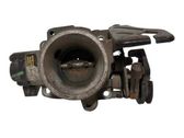 Throttle body valve