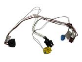 Rear door wiring loom