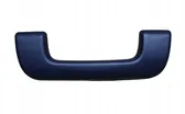 Front interior roof grab handle