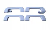 A set of handles for the ceiling