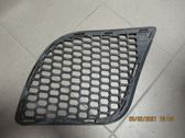 Front bumper lower grill
