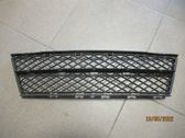 Front bumper lower grill