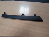 Front fog light trim/grill