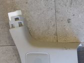Rear door trim (molding)