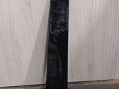 Windshield trim