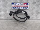 Faisceau de câblage pour moteur