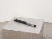 Stoßdämpfer hinten