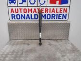 Stoßdämpfer hinten