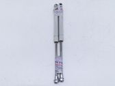Tailgate/trunk strut/damper