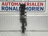 Front shock absorber/damper